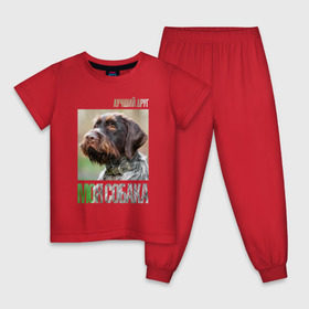 Детская пижама хлопок с принтом Дратхаар, лучший, друг, собака в Белгороде, 100% хлопок |  брюки и футболка прямого кроя, без карманов, на брюках мягкая резинка на поясе и по низу штанин
 | Тематика изображения на принте: drug | дратхаар | порода | собака