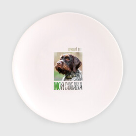 Тарелка с принтом Дратхаар, лучший, друг, собака в Белгороде, фарфор | диаметр - 210 мм
диаметр для нанесения принта - 120 мм | drug | дратхаар | порода | собака