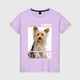 Женская футболка хлопок с принтом Йоркширский терьер в Белгороде, 100% хлопок | прямой крой, круглый вырез горловины, длина до линии бедер, слегка спущенное плечо | drug | порода | собака
