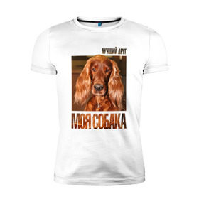Мужская футболка премиум с принтом Ирландский сеттер в Белгороде, 92% хлопок, 8% лайкра | приталенный силуэт, круглый вырез ворота, длина до линии бедра, короткий рукав | drug | ирландский сеттер | порода | собака