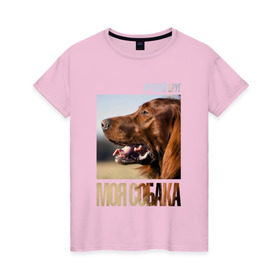Женская футболка хлопок с принтом Ирландский сеттер в Белгороде, 100% хлопок | прямой крой, круглый вырез горловины, длина до линии бедер, слегка спущенное плечо | drug | ирландский сеттер | порода | собака