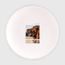 Тарелка с принтом Ирландский сеттер в Белгороде, фарфор | диаметр - 210 мм
диаметр для нанесения принта - 120 мм | Тематика изображения на принте: drug | ирландский сеттер | порода | собака