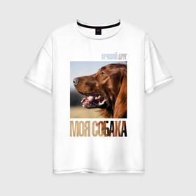 Женская футболка хлопок Oversize с принтом Ирландский сеттер в Белгороде, 100% хлопок | свободный крой, круглый ворот, спущенный рукав, длина до линии бедер
 | drug | ирландский сеттер | порода | собака
