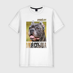 Мужская футболка премиум с принтом Канне корсо в Белгороде, 92% хлопок, 8% лайкра | приталенный силуэт, круглый вырез ворота, длина до линии бедра, короткий рукав | drug | канне корсо | порода | собака