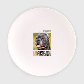 Тарелка с принтом Канне корсо в Белгороде, фарфор | диаметр - 210 мм
диаметр для нанесения принта - 120 мм | drug | канне корсо | порода | собака