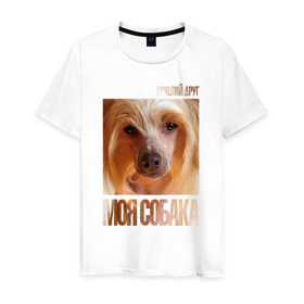 Мужская футболка хлопок с принтом Китайская хохлатая собака в Белгороде, 100% хлопок | прямой крой, круглый вырез горловины, длина до линии бедер, слегка спущенное плечо. | Тематика изображения на принте: китайская хохлатая собака | порода | собака