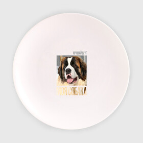 Тарелка с принтом Московская сторожевая в Белгороде, фарфор | диаметр - 210 мм
диаметр для нанесения принта - 120 мм | drug | пород | собака
