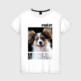 Женская футболка хлопок с принтом Папийон в Белгороде, 100% хлопок | прямой крой, круглый вырез горловины, длина до линии бедер, слегка спущенное плечо | drug | папийон | порода | собака