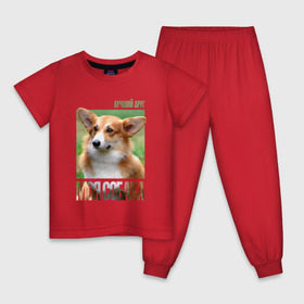 Детская пижама хлопок с принтом Вельш-корги-пемброк в Белгороде, 100% хлопок |  брюки и футболка прямого кроя, без карманов, на брюках мягкая резинка на поясе и по низу штанин
 | drug | вельш корги пемброк | порода | собака