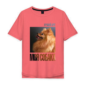 Мужская футболка хлопок Oversize с принтом Померанский шпиц в Белгороде, 100% хлопок | свободный крой, круглый ворот, “спинка” длиннее передней части | Тематика изображения на принте: drug | померанский шпиц | порода | собака