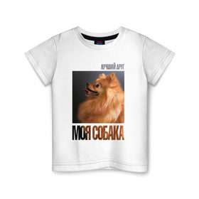 Детская футболка хлопок с принтом Померанский шпиц в Белгороде, 100% хлопок | круглый вырез горловины, полуприлегающий силуэт, длина до линии бедер | drug | померанский шпиц | порода | собака