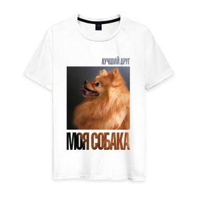 Мужская футболка хлопок с принтом Померанский шпиц в Белгороде, 100% хлопок | прямой крой, круглый вырез горловины, длина до линии бедер, слегка спущенное плечо. | drug | померанский шпиц | порода | собака