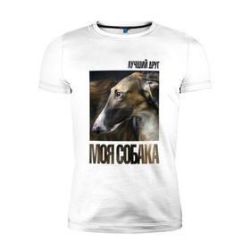 Мужская футболка премиум с принтом Псовая русская борзая в Белгороде, 92% хлопок, 8% лайкра | приталенный силуэт, круглый вырез ворота, длина до линии бедра, короткий рукав | порода | псовая русская борзая | собака