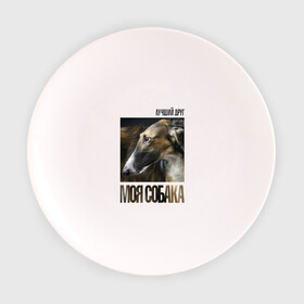 Тарелка с принтом Псовая русская борзая в Белгороде, фарфор | диаметр - 210 мм
диаметр для нанесения принта - 120 мм | порода | псовая русская борзая | собака