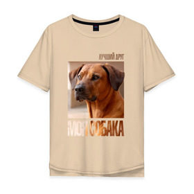 Мужская футболка хлопок Oversize с принтом Родезийский риджбек в Белгороде, 100% хлопок | свободный крой, круглый ворот, “спинка” длиннее передней части | drug | порода | родезийский риджбек | собака