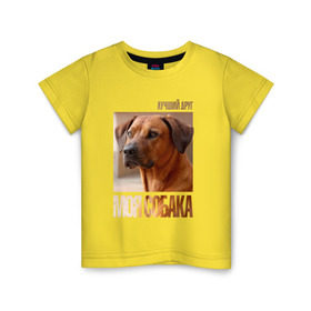 Детская футболка хлопок с принтом Родезийский риджбек в Белгороде, 100% хлопок | круглый вырез горловины, полуприлегающий силуэт, длина до линии бедер | Тематика изображения на принте: drug | порода | родезийский риджбек | собака
