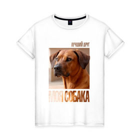 Женская футболка хлопок с принтом Родезийский риджбек в Белгороде, 100% хлопок | прямой крой, круглый вырез горловины, длина до линии бедер, слегка спущенное плечо | drug | порода | родезийский риджбек | собака