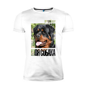 Мужская футболка премиум с принтом Ротвейлер в Белгороде, 92% хлопок, 8% лайкра | приталенный силуэт, круглый вырез ворота, длина до линии бедра, короткий рукав | drug | порода | собака