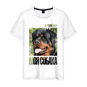 Мужская футболка хлопок с принтом Ротвейлер в Белгороде, 100% хлопок | прямой крой, круглый вырез горловины, длина до линии бедер, слегка спущенное плечо. | drug | порода | собака