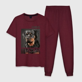 Мужская пижама хлопок с принтом Ротвейлер в Белгороде, 100% хлопок | брюки и футболка прямого кроя, без карманов, на брюках мягкая резинка на поясе и по низу штанин
 | Тематика изображения на принте: drug | порода | собака