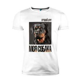 Мужская футболка премиум с принтом Ротвейлер в Белгороде, 92% хлопок, 8% лайкра | приталенный силуэт, круглый вырез ворота, длина до линии бедра, короткий рукав | Тематика изображения на принте: drug | порода | собака