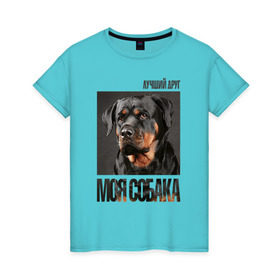 Женская футболка хлопок с принтом Ротвейлер в Белгороде, 100% хлопок | прямой крой, круглый вырез горловины, длина до линии бедер, слегка спущенное плечо | drug | порода | собака