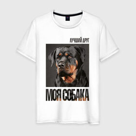 Мужская футболка хлопок с принтом Ротвейлер в Белгороде, 100% хлопок | прямой крой, круглый вырез горловины, длина до линии бедер, слегка спущенное плечо. | Тематика изображения на принте: drug | порода | собака