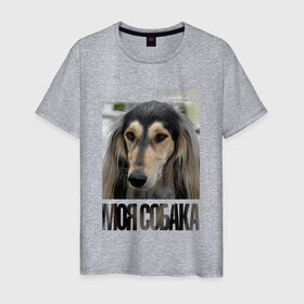 Мужская футболка хлопок с принтом Салюки в Белгороде, 100% хлопок | прямой крой, круглый вырез горловины, длина до линии бедер, слегка спущенное плечо. | drug | порода | салюки | собака