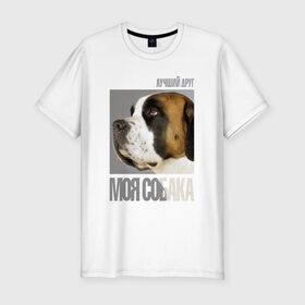 Мужская футболка премиум с принтом Сенбернар в Белгороде, 92% хлопок, 8% лайкра | приталенный силуэт, круглый вырез ворота, длина до линии бедра, короткий рукав | drug | порода | сенбернар | собака