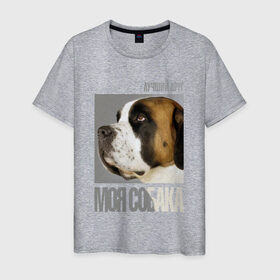 Мужская футболка хлопок с принтом Сенбернар в Белгороде, 100% хлопок | прямой крой, круглый вырез горловины, длина до линии бедер, слегка спущенное плечо. | drug | порода | сенбернар | собака