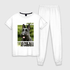 Женская пижама хлопок с принтом Скотч-терьер в Белгороде, 100% хлопок | брюки и футболка прямого кроя, без карманов, на брюках мягкая резинка на поясе и по низу штанин | Тематика изображения на принте: drug | порода | скотч | собака
