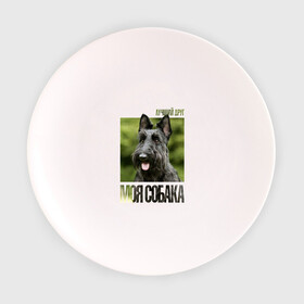 Тарелка с принтом Скотч-терьер в Белгороде, фарфор | диаметр - 210 мм
диаметр для нанесения принта - 120 мм | drug | порода | скотч | собака
