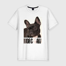 Мужская футболка премиум с принтом Французский бульдог в Белгороде, 92% хлопок, 8% лайкра | приталенный силуэт, круглый вырез ворота, длина до линии бедра, короткий рукав | drug | порода | собака