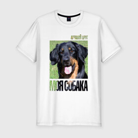 Мужская футболка премиум с принтом Ховаварт в Белгороде, 92% хлопок, 8% лайкра | приталенный силуэт, круглый вырез ворота, длина до линии бедра, короткий рукав | drug | порода | собака | ховаварт