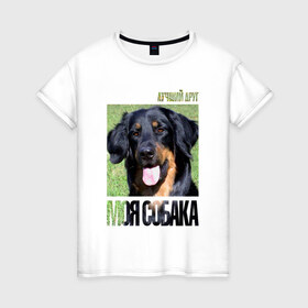 Женская футболка хлопок с принтом Ховаварт в Белгороде, 100% хлопок | прямой крой, круглый вырез горловины, длина до линии бедер, слегка спущенное плечо | drug | порода | собака | ховаварт