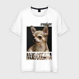Мужская футболка хлопок с принтом Чихуахуа в Белгороде, 100% хлопок | прямой крой, круглый вырез горловины, длина до линии бедер, слегка спущенное плечо. | Тематика изображения на принте: drug | порода | собака