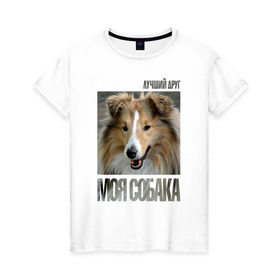 Женская футболка хлопок с принтом Шелти в Белгороде, 100% хлопок | прямой крой, круглый вырез горловины, длина до линии бедер, слегка спущенное плечо | drug | порода | собака | шелти