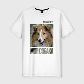 Мужская футболка премиум с принтом Шелти в Белгороде, 92% хлопок, 8% лайкра | приталенный силуэт, круглый вырез ворота, длина до линии бедра, короткий рукав | drug | порода | собака | шелти