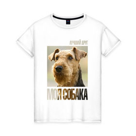 Женская футболка хлопок с принтом Эрдельтерьер в Белгороде, 100% хлопок | прямой крой, круглый вырез горловины, длина до линии бедер, слегка спущенное плечо | drug | порода | собака | эрдельтерьер
