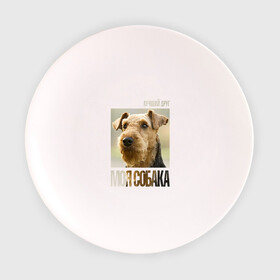 Тарелка с принтом Эрдельтерьер в Белгороде, фарфор | диаметр - 210 мм
диаметр для нанесения принта - 120 мм | drug | порода | собака | эрдельтерьер