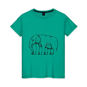 Женская футболка хлопок с принтом Сколько ног у слона в Белгороде, 100% хлопок | прямой крой, круглый вырез горловины, длина до линии бедер, слегка спущенное плечо | слон