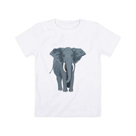 Детская футболка хлопок с принтом Слон в Белгороде, 100% хлопок | круглый вырез горловины, полуприлегающий силуэт, длина до линии бедер | 