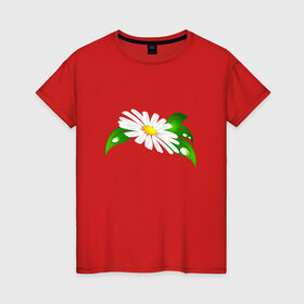 Женская футболка хлопок с принтом Ромашка в Белгороде, 100% хлопок | прямой крой, круглый вырез горловины, длина до линии бедер, слегка спущенное плечо | 