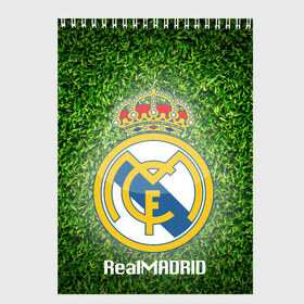 Скетчбук с принтом Real Madrid в Белгороде, 100% бумага
 | 48 листов, плотность листов — 100 г/м2, плотность картонной обложки — 250 г/м2. Листы скреплены сверху удобной пружинной спиралью | real madrid | реал мадрид | спорт | фк | футбол