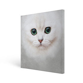 Холст квадратный с принтом Белый котик в Белгороде, 100% ПВХ |  | белая кошка | киса | кот | котик | кошка