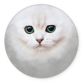 Коврик круглый с принтом Белый котик в Белгороде, резина и полиэстер | круглая форма, изображение наносится на всю лицевую часть | белая кошка | киса | кот | котик | кошка