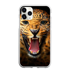 Чехол для iPhone 11 Pro матовый с принтом Леопард в Белгороде, Силикон |  | киса | кошка | леопард | хищник