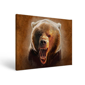 Холст прямоугольный с принтом Медведь в Белгороде, 100% ПВХ |  | Тематика изображения на принте: медведь | мишка