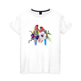 Женская футболка хлопок с принтом Попугаи в Белгороде, 100% хлопок | прямой крой, круглый вырез горловины, длина до линии бедер, слегка спущенное плечо | myparrots | акварель | попугаи | птиц | розелла | цветы