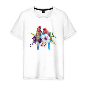 Мужская футболка хлопок с принтом Попугаи в Белгороде, 100% хлопок | прямой крой, круглый вырез горловины, длина до линии бедер, слегка спущенное плечо. | myparrots | акварель | попугаи | птиц | розелла | цветы